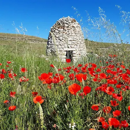 Vakantiehuis Alma De La Ribera Peñafiel