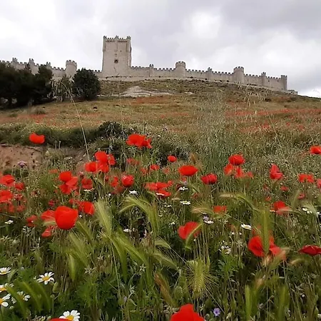 Alma De La Ribera Peñafiel