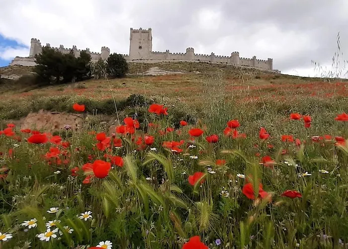 Alma De La Ribera 페냐피엘
